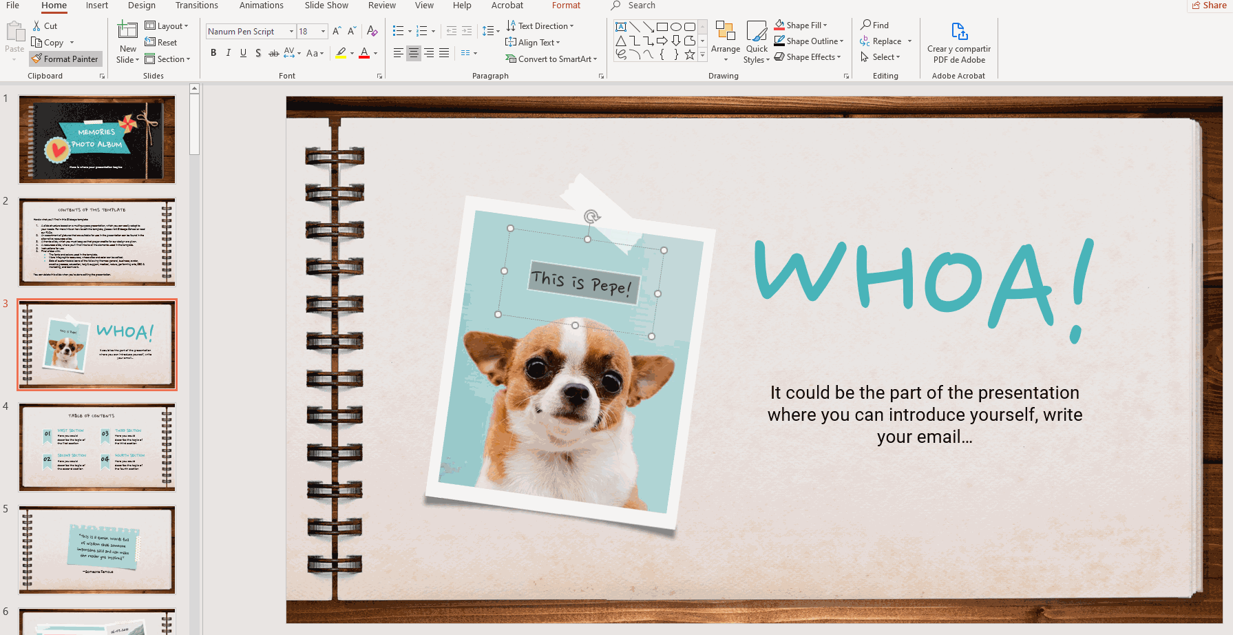 How to Format the Text in PowerPoint -21