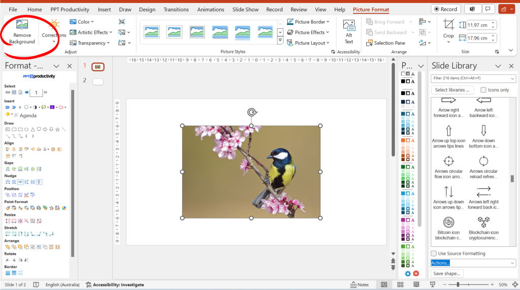 How to remove background from pictures in PowerPoint -2 How to remove background from pictures in PowerPoint -2