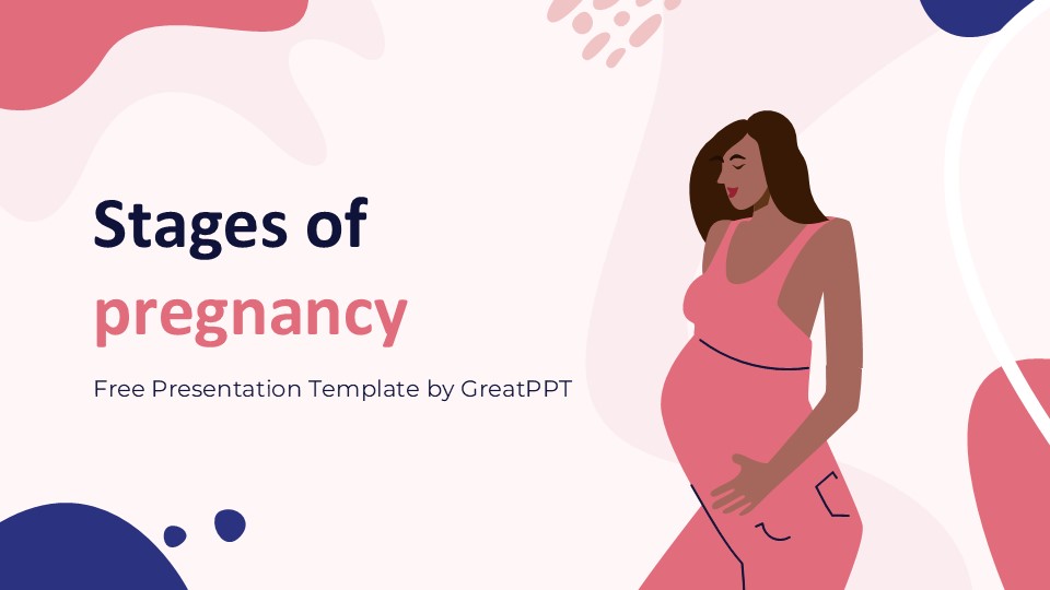 Stages Of Pregnancy By Greatppt 1