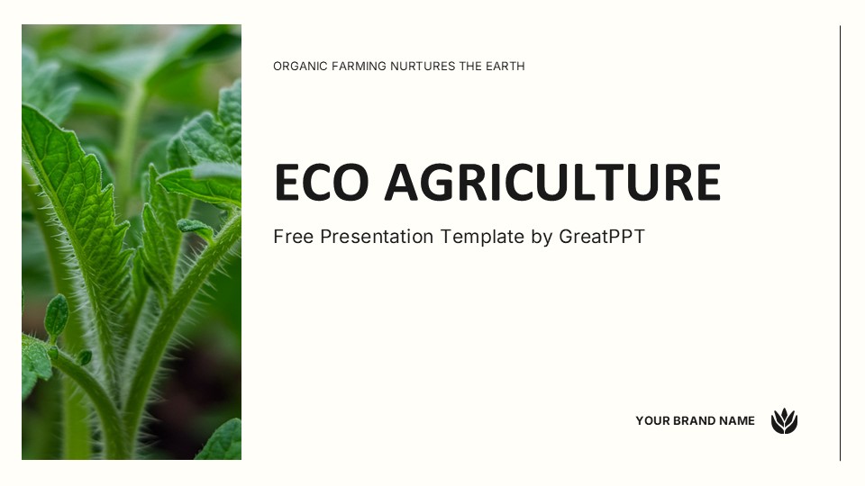 Eco Agriculture By Greatppt 1