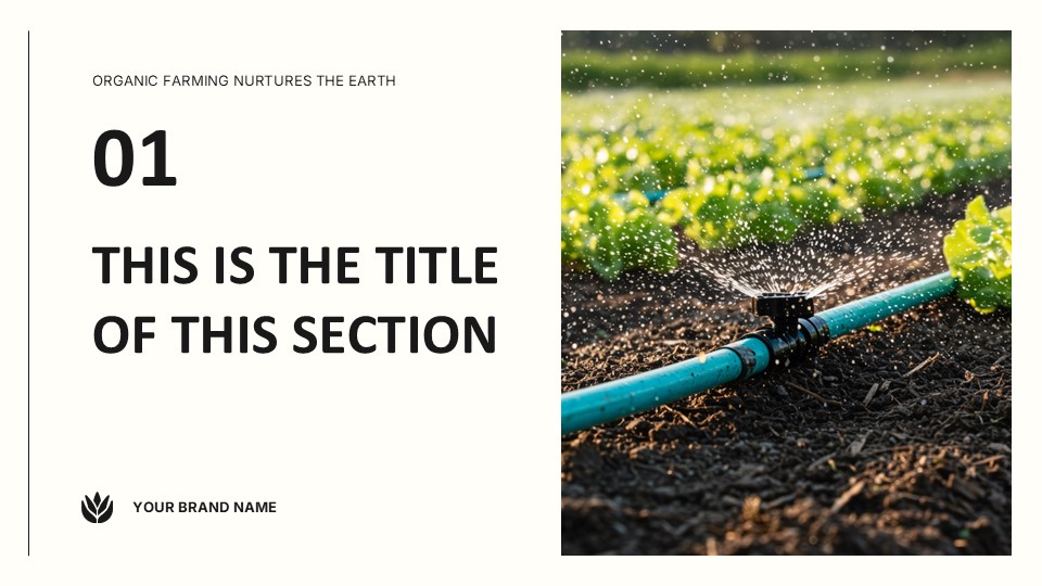 Eco Agriculture By Greatppt 4