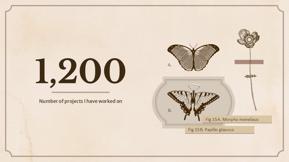 Vintage Academia Aesthetic Portfolio By Greatppt 14