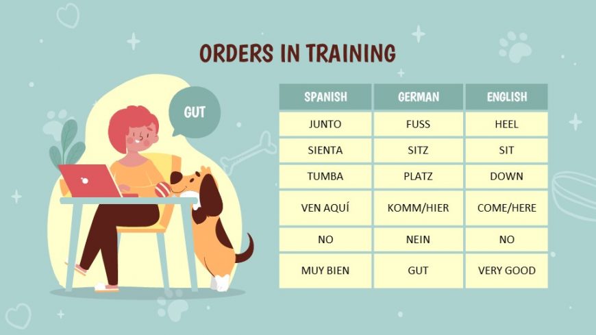 Puppy Training Powerpoint Template
