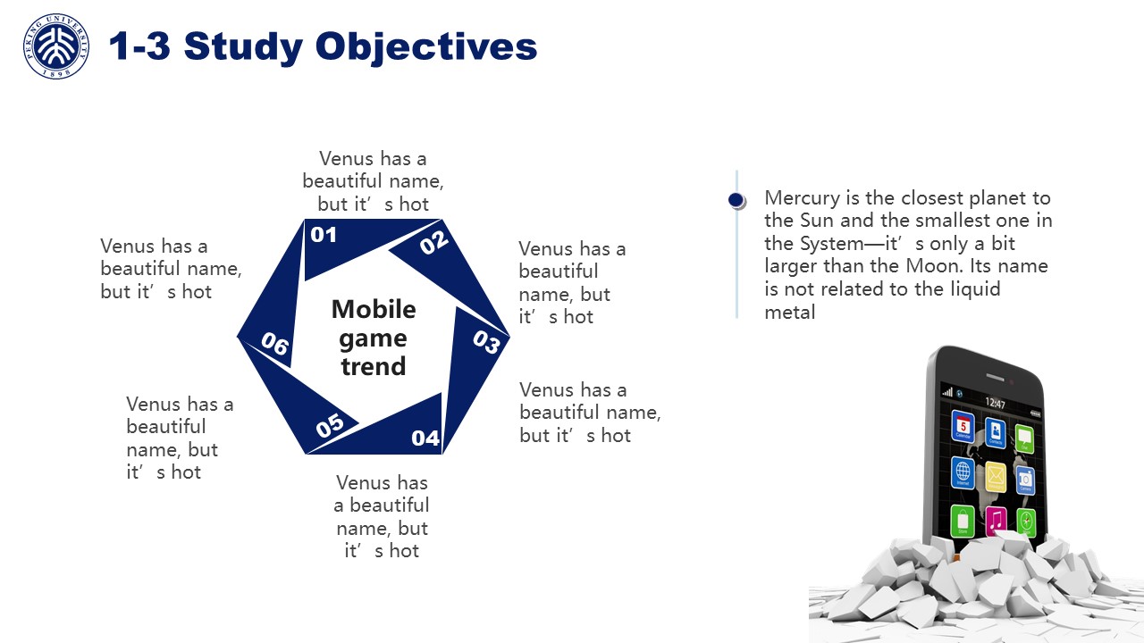 Mobile Internet Thesis6