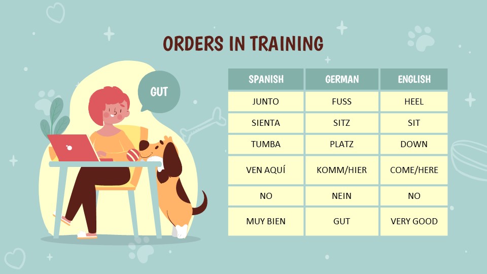 Puppy Training Powerpoint Template13