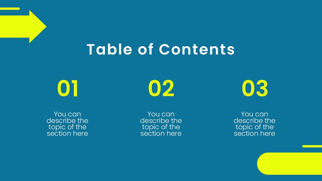 Electric Bicycle Introduction 2