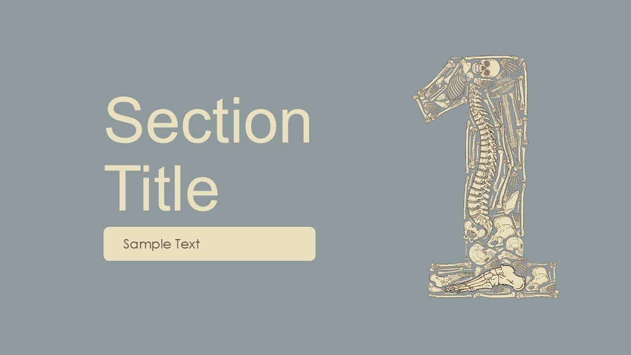 Anatomy PowerPoint Template 2