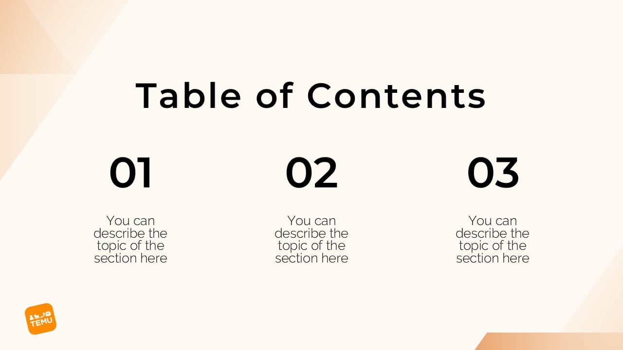 Temu PowerPoint Template 2