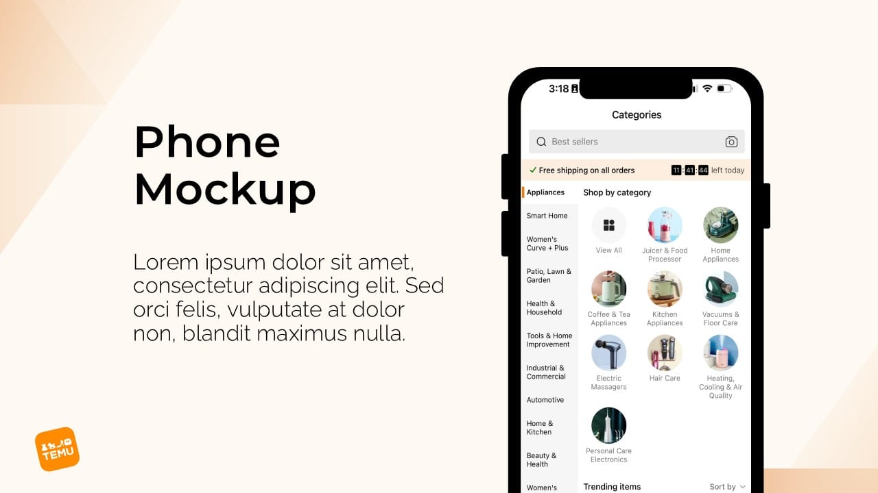 Temu PowerPoint Template 9