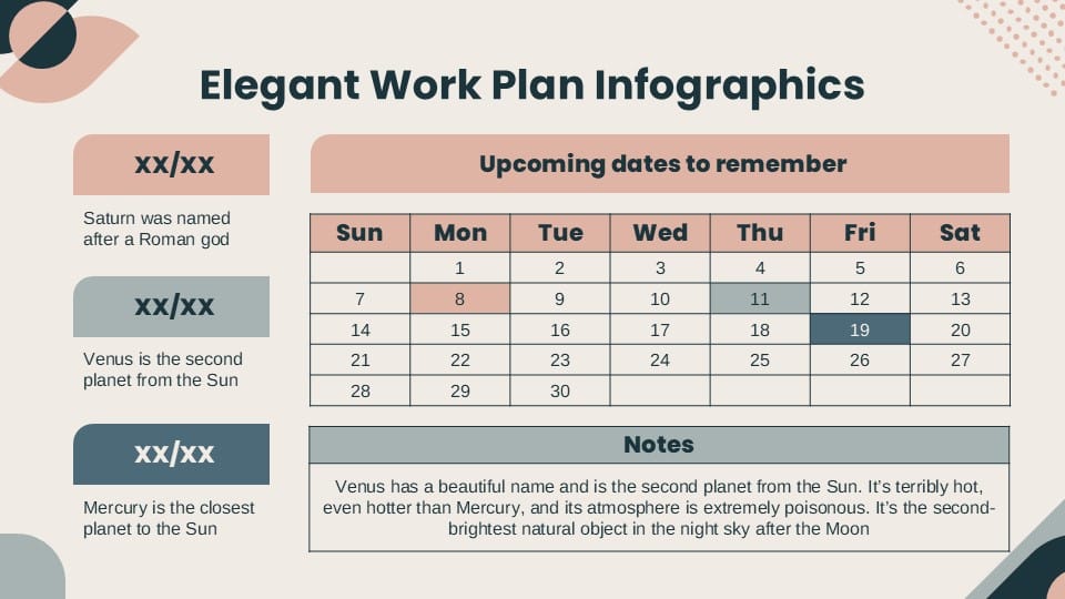 Elegant Workplan Infographics 12