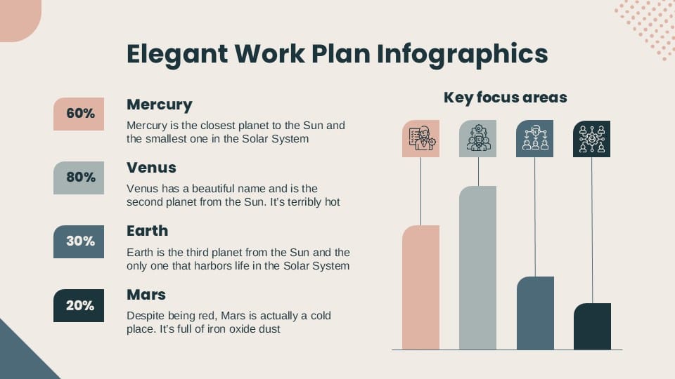 Elegant Workplan Infographics 6