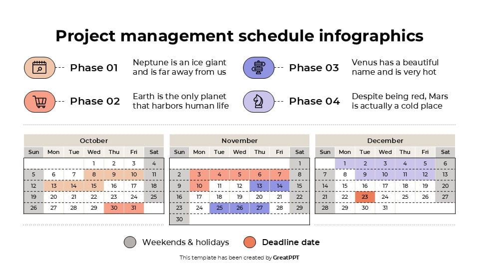 Project Management Schedule Infographics 10