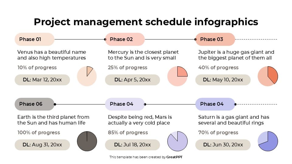 Project Management Schedule Infographics 4