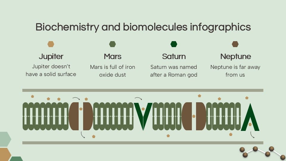 Biochemistry and Biomolecules Infographics 6