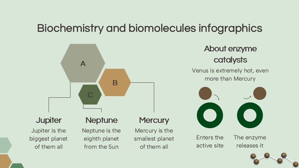 Biochemistry and Biomolecules Infographics 8