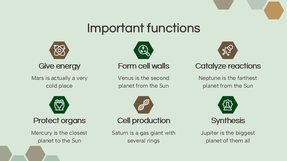 Biochemistry and Biomolecules PowerPoint Template 10
