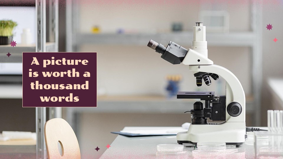 Free Cell Biology Powerpoint Template 16