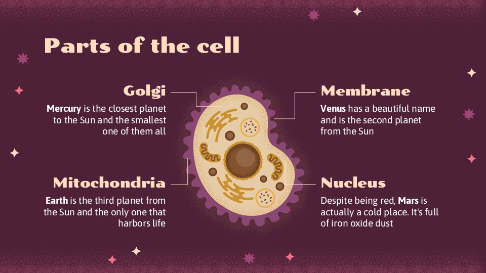 Free Cell Biology Powerpoint Template 27