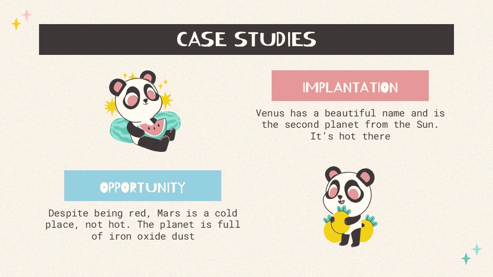 Free Funny Panda Agency Presentation Template 13