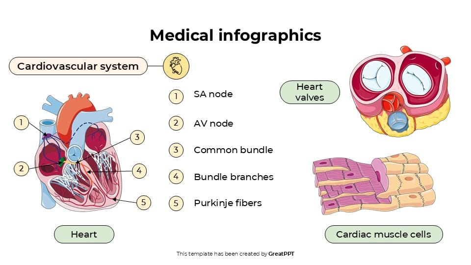 Medical Infographics 2