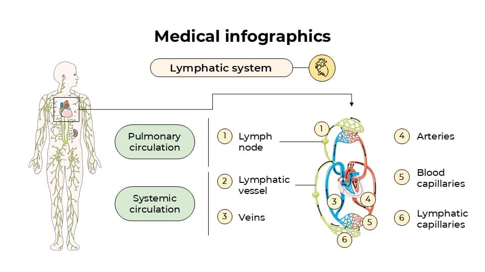 Medical Infographics 3