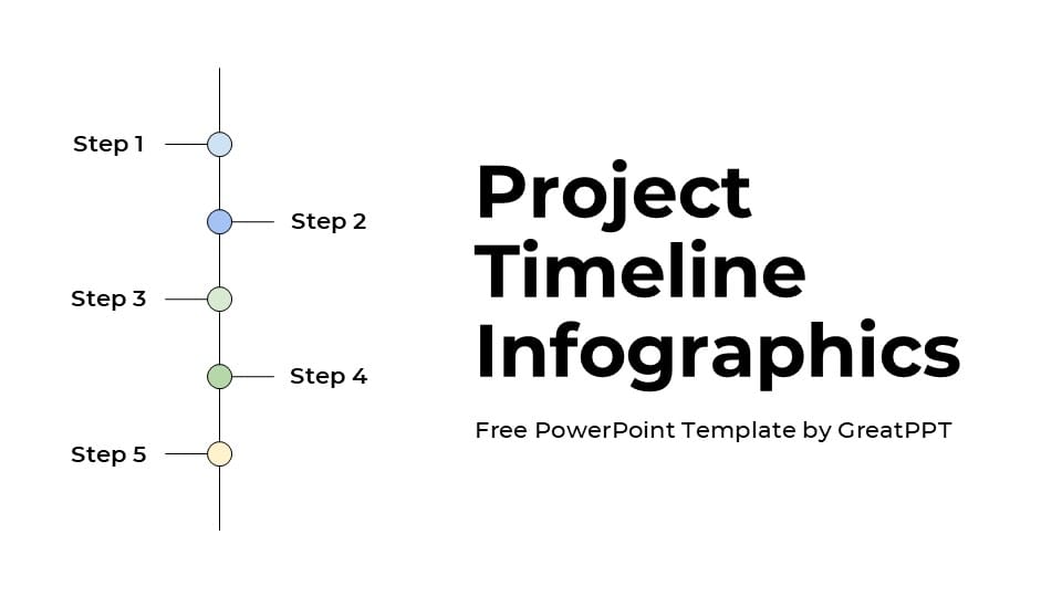 Professional Project Timeline Infographics 1