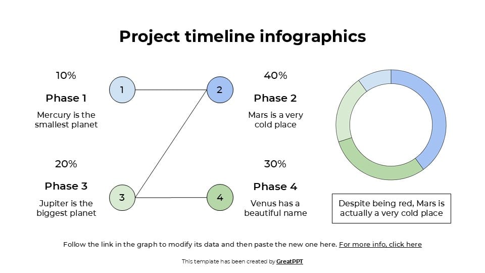 Professional Project Timeline Infographics 10