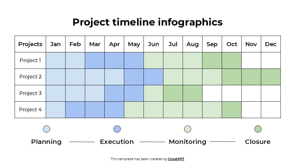 Professional Project Timeline Infographics 4