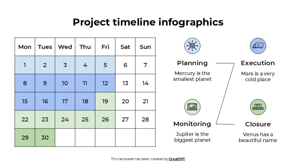 Professional Project Timeline Infographics 8