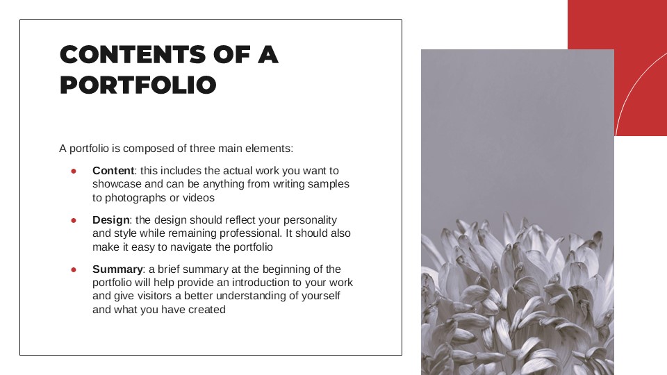 Red Color Palette Portfolio Presentation Template 3