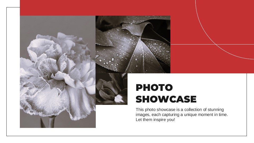 Red Color Palette Portfolio Presentation Template 9