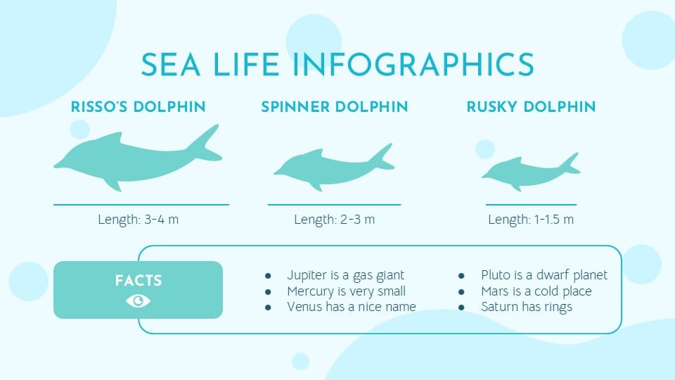 Sea Life Infographics 12