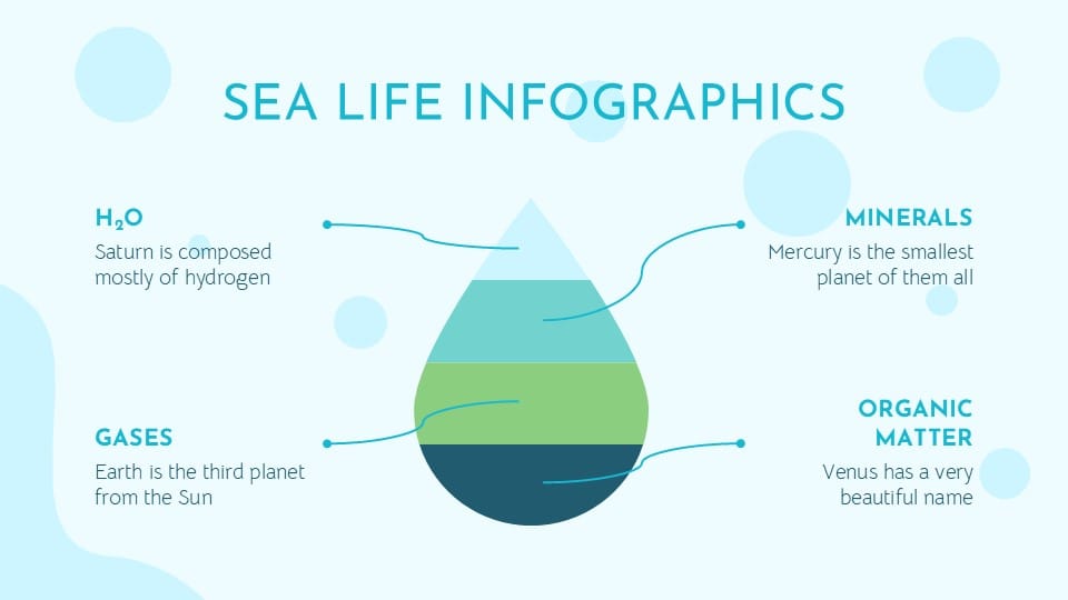 Sea Life Infographics 15