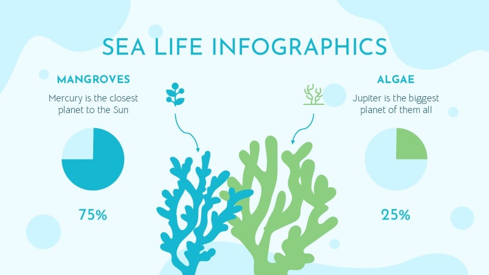 Sea Life Infographics 22