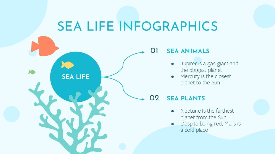 Sea Life Infographics 24