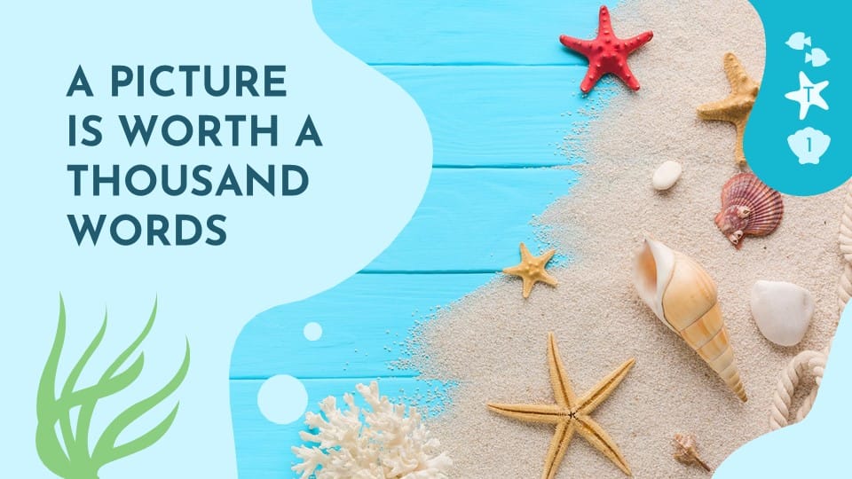 Sea Life PowerPoint Template 15