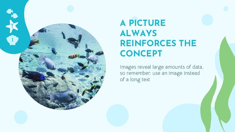 Sea Life PowerPoint Template 16