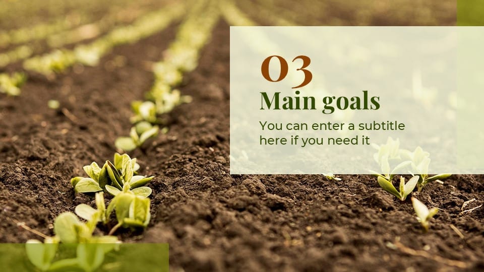 Sustainable Agriculture Project Proposal Presentation 21