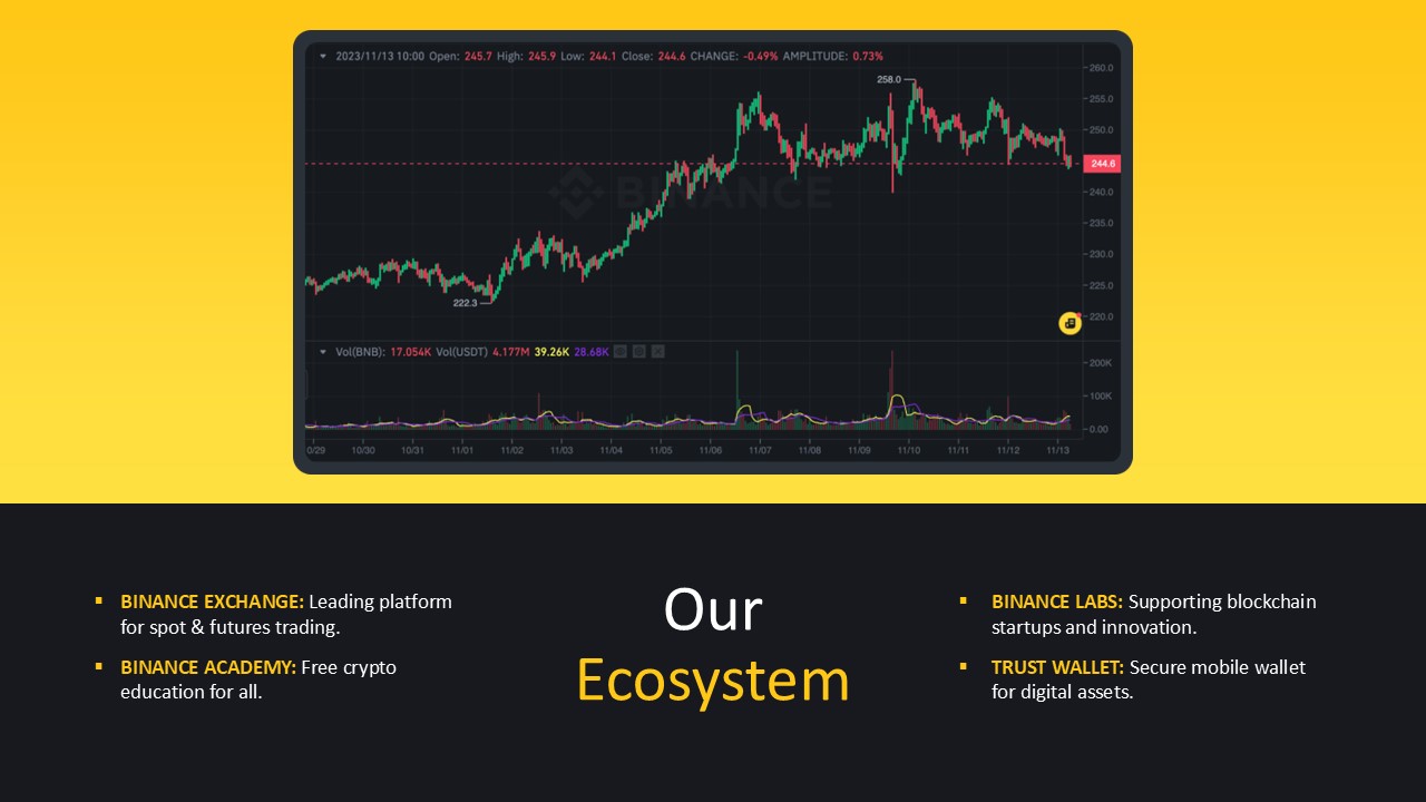 Binance Powerpoint Template 5