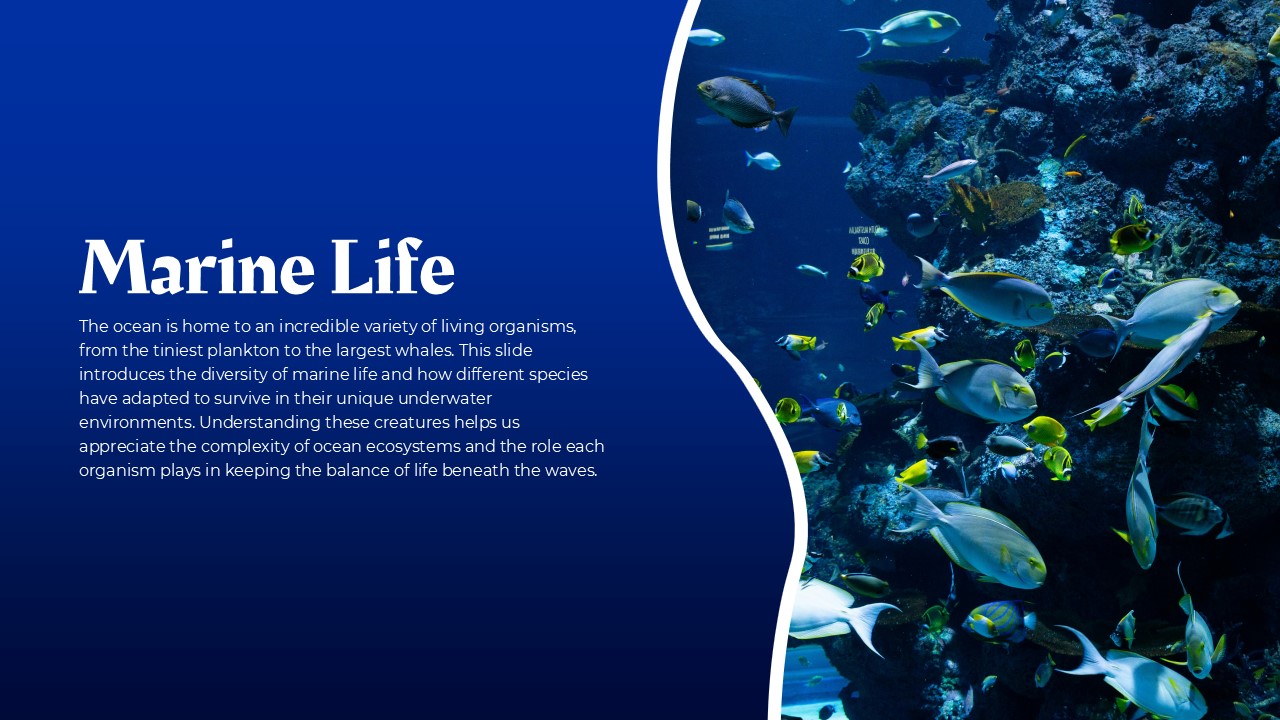 Free Blue Ocean Powerpoint Template And Google Slides Theme 4