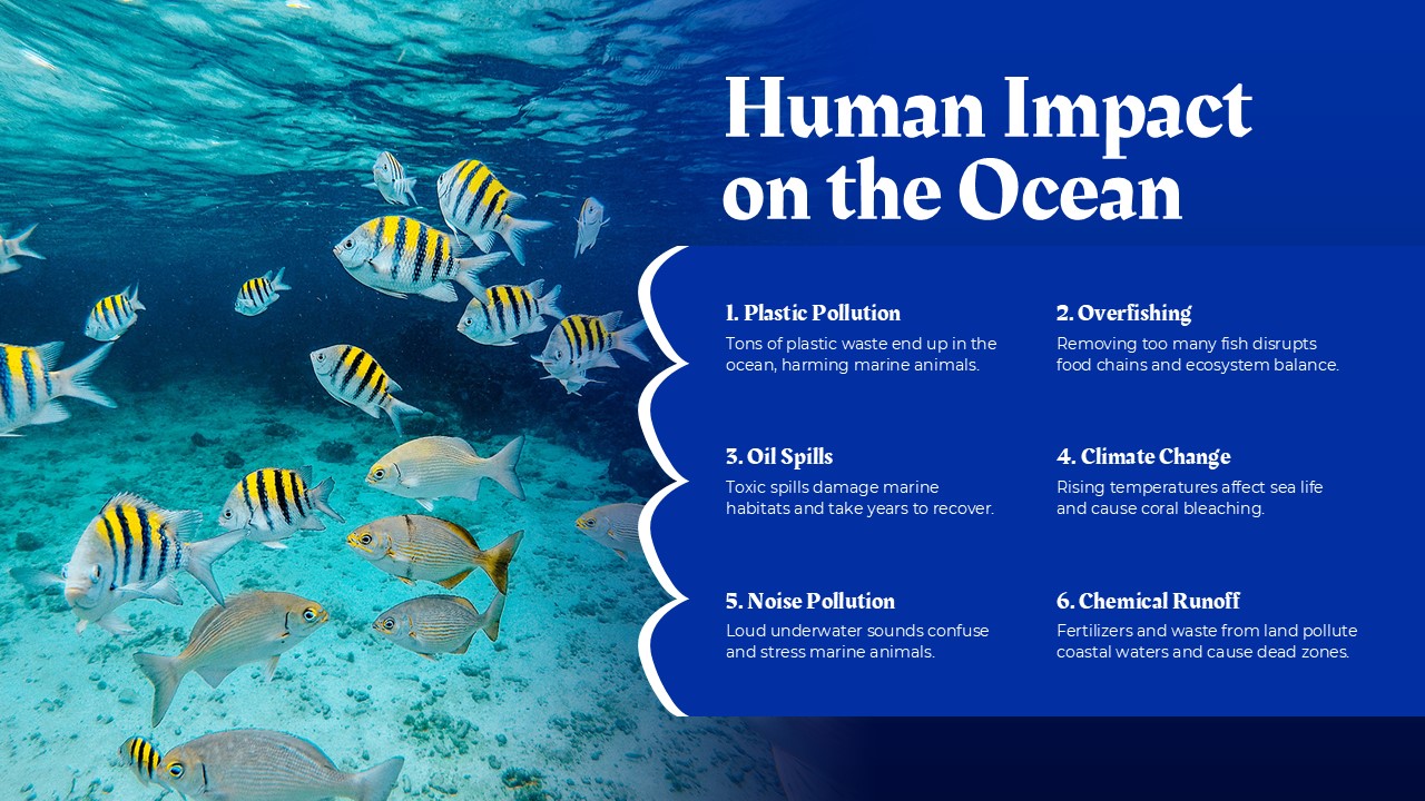 Free Blue Ocean Powerpoint Template And Google Slides Theme 5