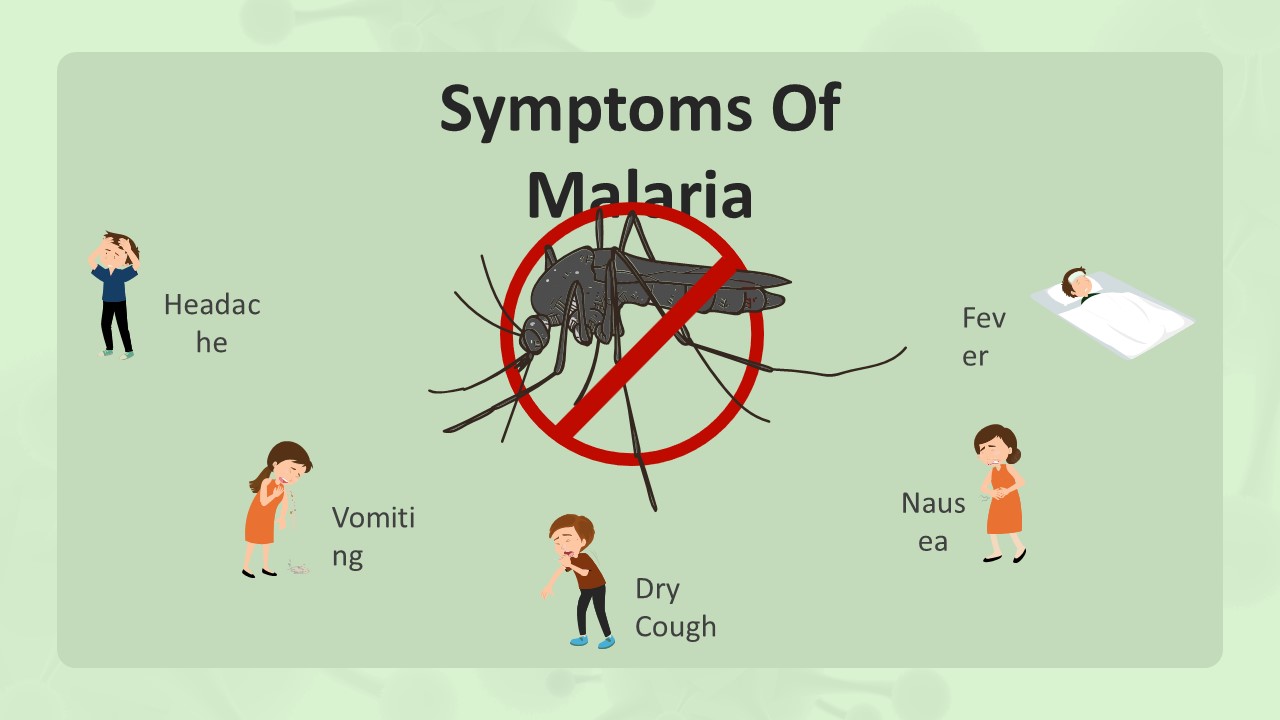 Free Malaria Disease Powerpoint Template 3