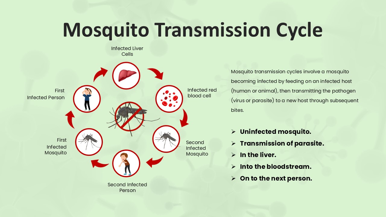 Free Malaria Disease Powerpoint Template 5