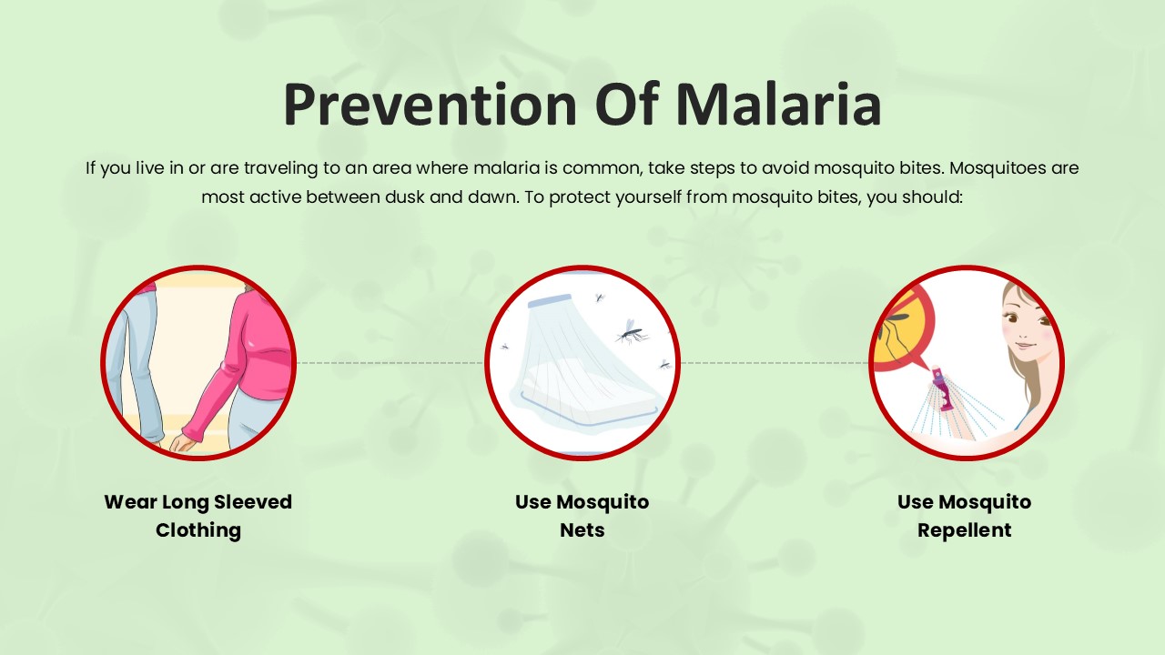 Free Malaria Disease Powerpoint Template 8