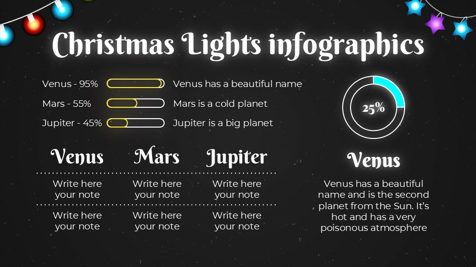 Free Christmas Lights Installation Company Infographics 2