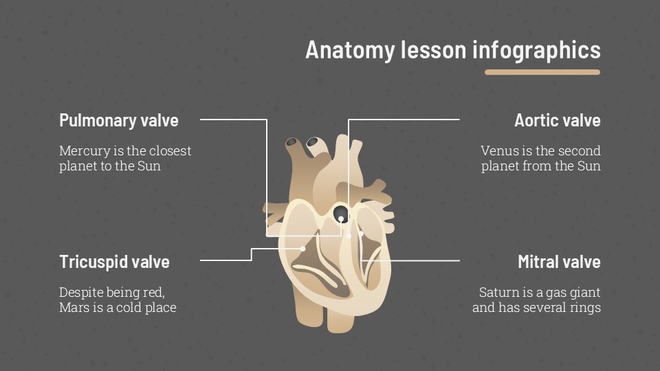 Free Anatomy Lesson Infographics 10