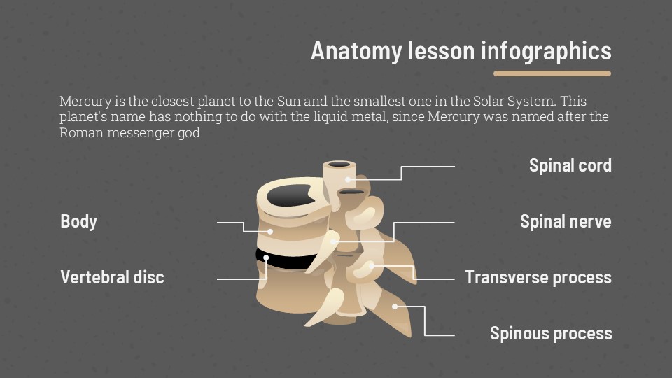 Free Anatomy Lesson Infographics 13
