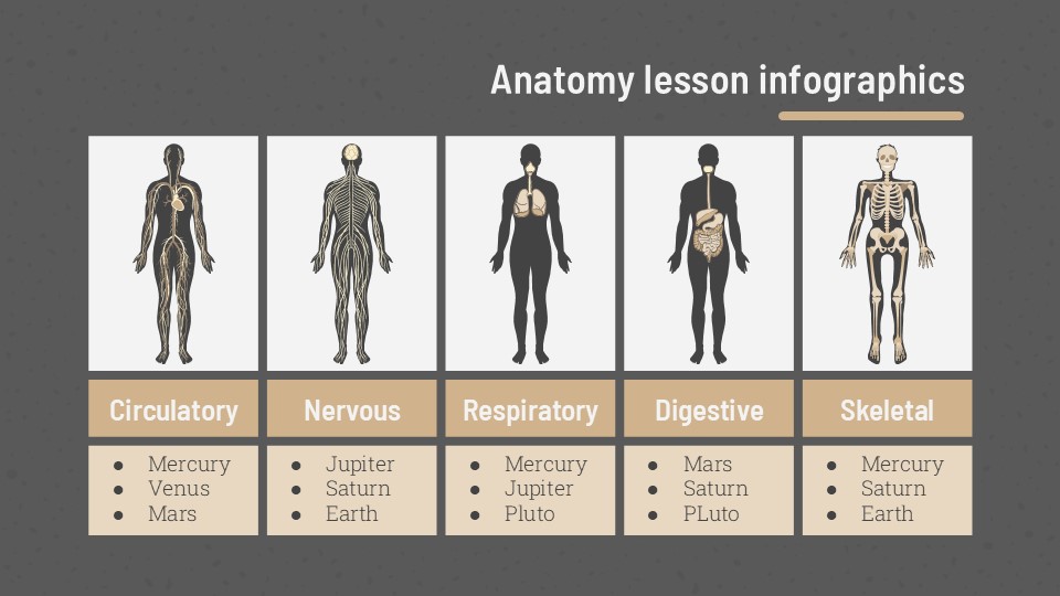 Free Anatomy Lesson Infographics 3