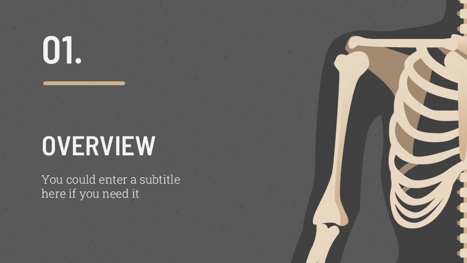Free Anatomy Lesson Powerpoint Template 5