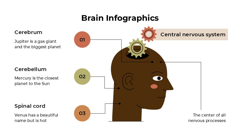 Free Minimalist Brain Infographics For Powerpoint And Google Slides 3